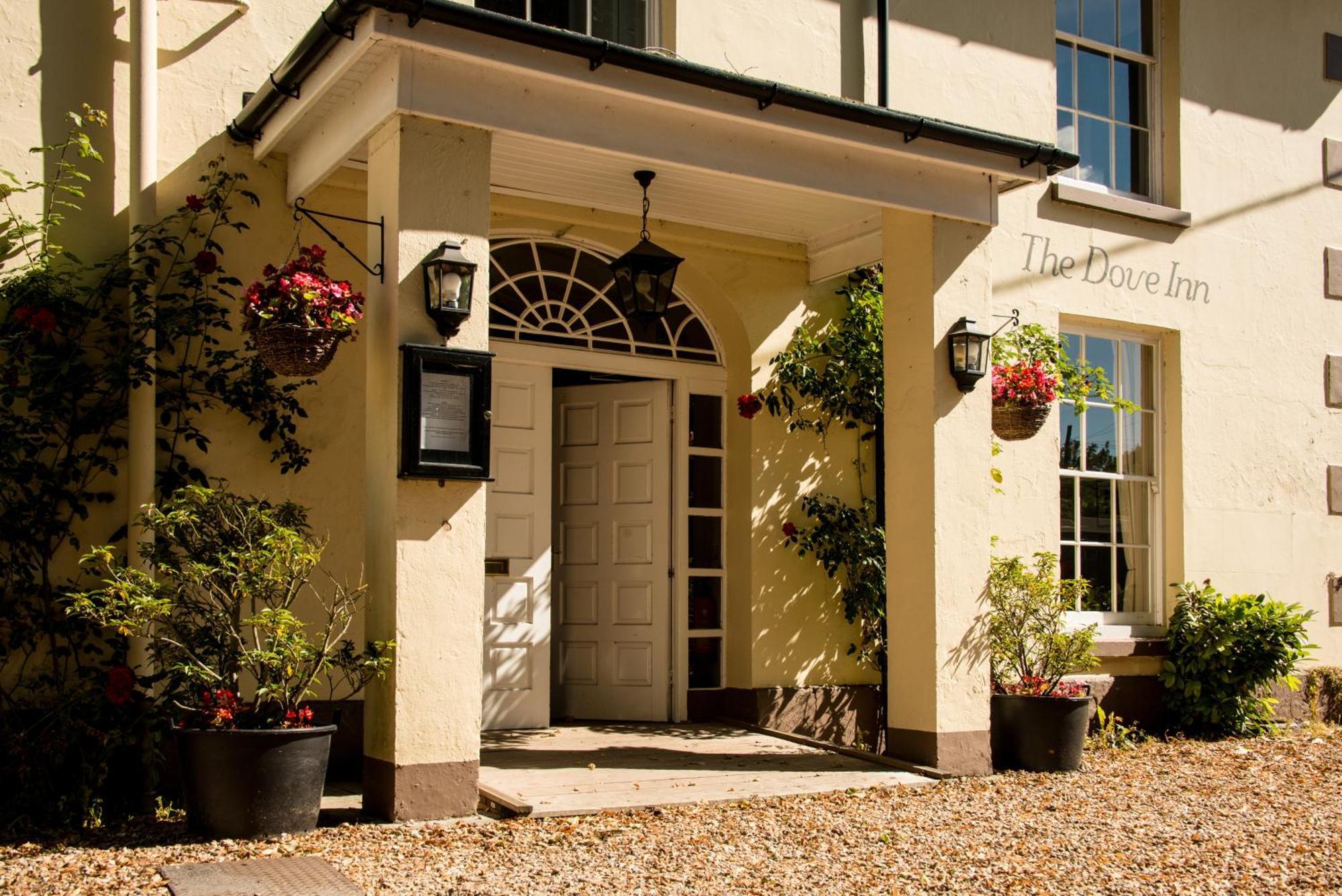 The Dove Inn Micheldever Kültér fotó